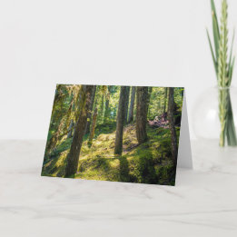 Sunlit Forest Greeting Card (Blank)