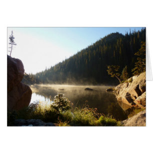 Sunlit Frosted Pine Trees at Dream Lake