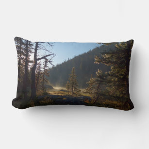 Sunlit Frosted Pine Trees at Dream Lake Lumbar Cushion