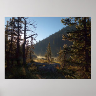 Sunlit Frosted Pine Trees at Dream Lake Poster