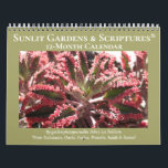 Sunlit Gardens & Scriptures Calendar<br><div class="desc">For anyone who loves a sunlit garden,  this 12-month calendar presents beautiful plants aglow. My inspiration came from passages from the Holy Scriptures (used by both Jews and Christians) from Ecclesiastes,  Daniel,  Psalms,  Proverbs,  Isaiah and Samuel. All mention the joy,  blessings,  and life that light brings.</div>