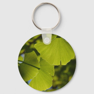 Sunlit Ginkgo Leaves Key Ring