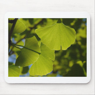 Sunlit Ginkgo Leaves Mouse Mat