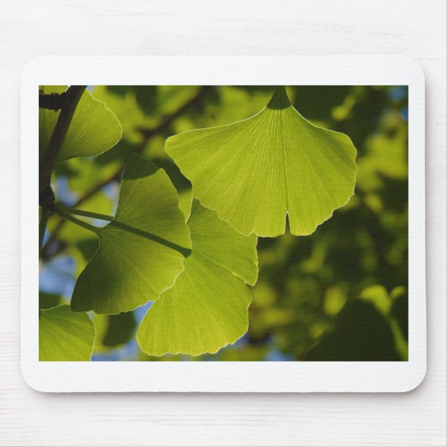Sunlit Ginkgo Leaves Mouse Mat (Front)