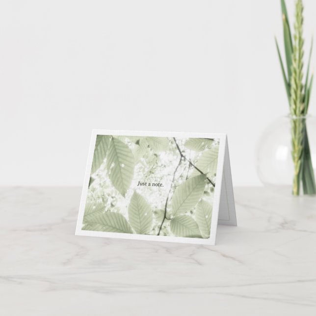 Sunlit leaves in New Hampshire (horizontal) Thank You Card (Front)