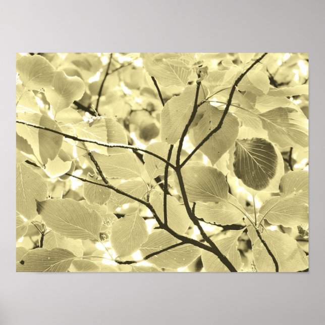 Sunlit Leaves Poster (Front)