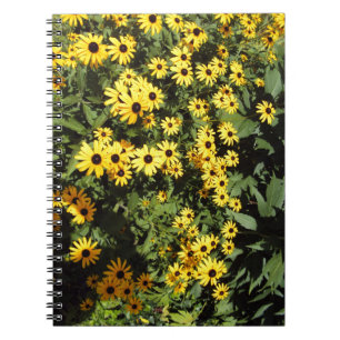 Sunlit Meadow Notebook