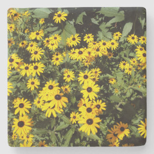 Sunlit Meadow Stone Coaster