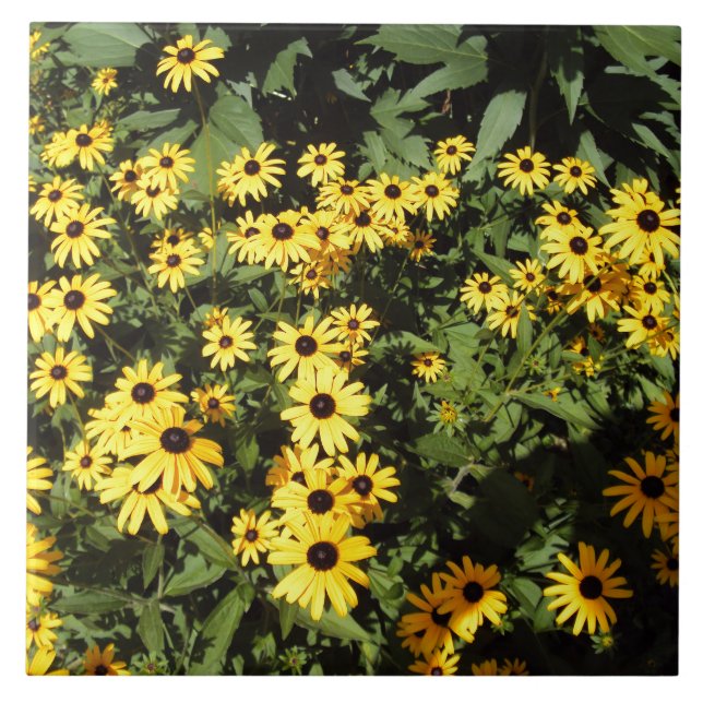 Sunlit Meadow Tile (Front)