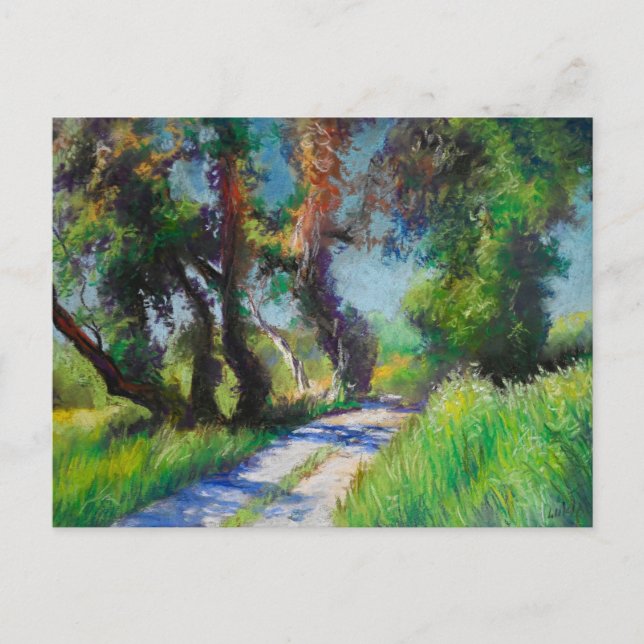 Sunlit Olive Grove Pastel Landscape Postcard (Front)