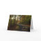 Sunlit Path Anniversary Card