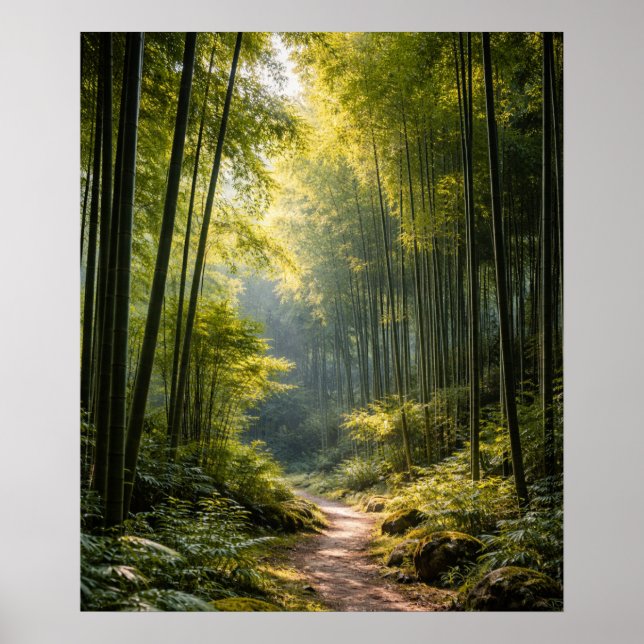 Sunlit Path Through Bamboo Forest Poster (Front)