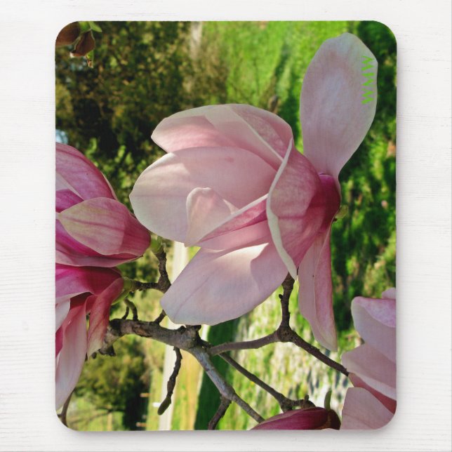 Sunlit Pink Magnolia Floral Monogram Mouse Pad (Front)