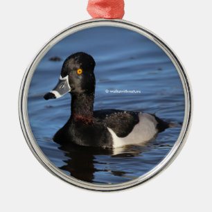 Sunlit Profile of a Ring-Necked Duck Metal Tree Decoration