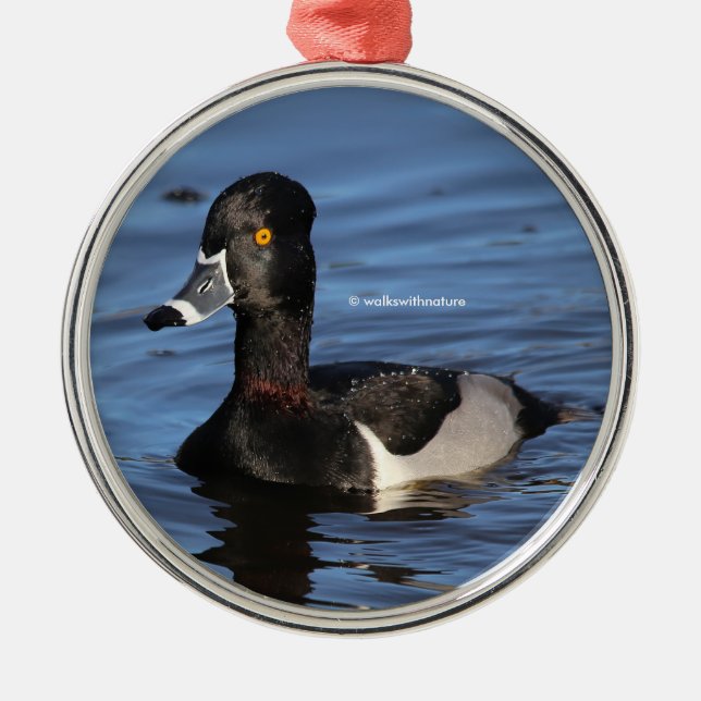 Sunlit Profile of a Ring-Necked Duck Metal Tree Decoration (Front)