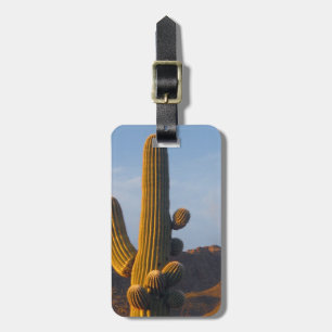 Sunlit Saguaro Cactus Customisable Luggage Tag