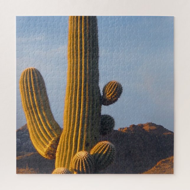 Sunlit Saguaro Cactus Jigsaw Puzzle (Vertical)