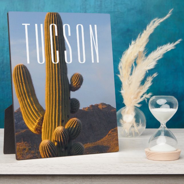Sunlit Saguaro Tucson Scene  Plaque (Side)