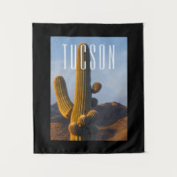 Sunlit Saguaro Tucson Scene