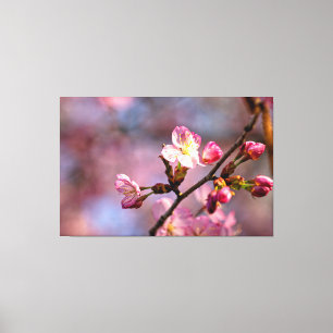 Sunlit Sakura Flowers And Buds On A Sweet Day Canvas Print
