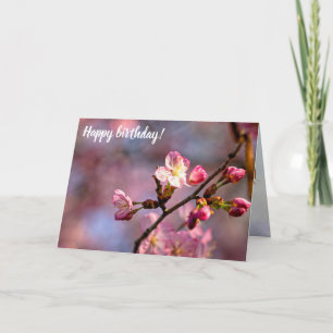 Sunlit Sakura Flowers And Buds On A Sweet Day Card