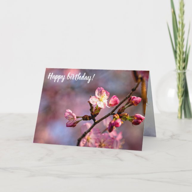 Sunlit Sakura Flowers And Buds On A Sweet Day Card (Front)
