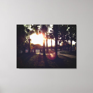 Sunlit Serenity Canvas Print