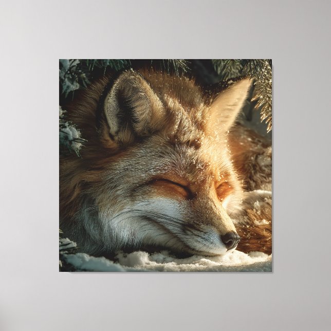 Sunlit Snow Fox Rest Canvas Print (Front)