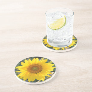 Sunlit Sunflower Sandstone Coaster