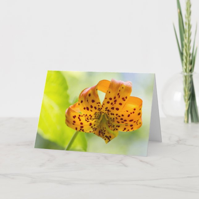 Sunlit Tiger Lily Blank Greeting Card (Front)