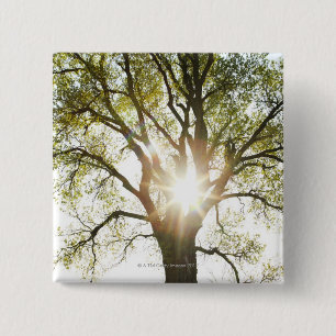 Sunlit Tree 15 Cm Square Badge