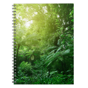 Sunlit tree canopy in tropical jungle  notebook