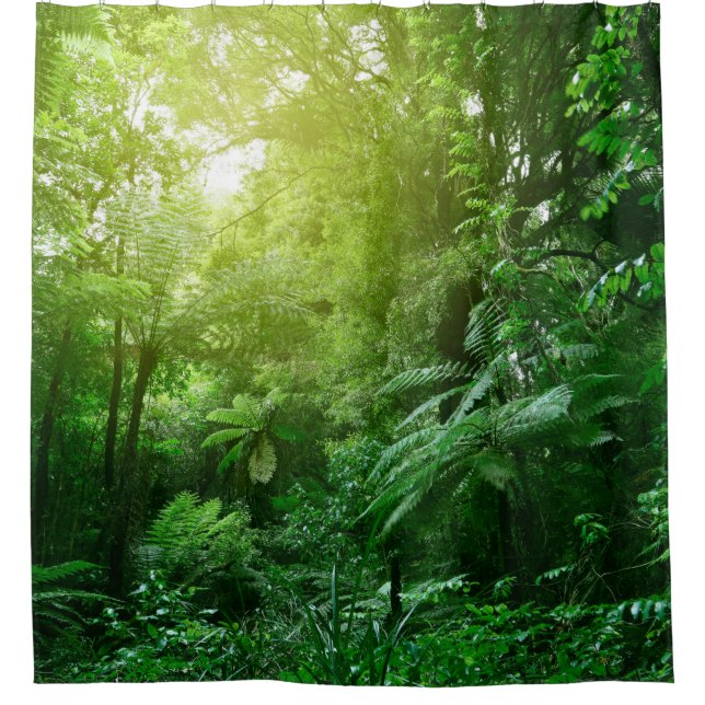 Sunlit tree canopy in tropical jungle  shower curtain (Front)
