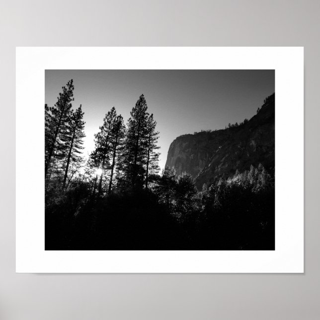 Sunlit Trees Yosemite Black and White Photography Poster (Front)