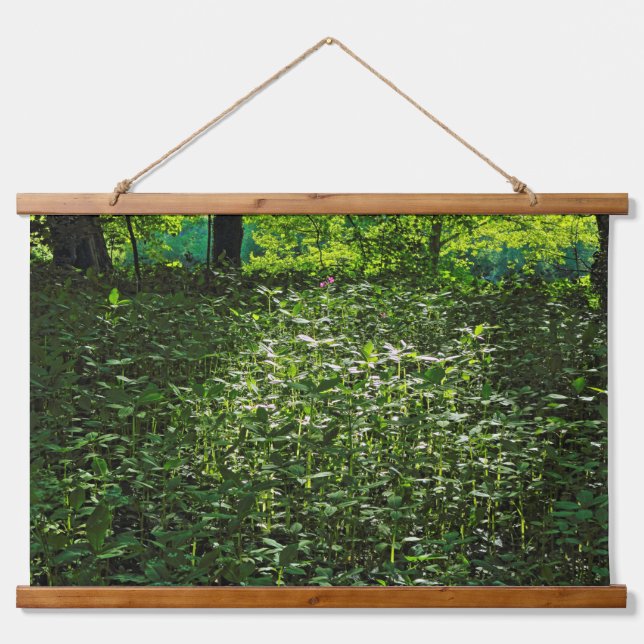 Sunlit Undergrowth.  Blackweir Woods, Cardiff Hanging Tapestry (Front)