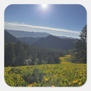 Sunlit Valley Square Sticker