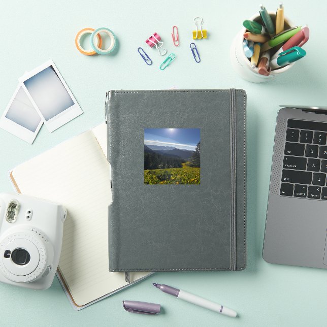 Sunlit Valley Vinyl (iPad Cover)