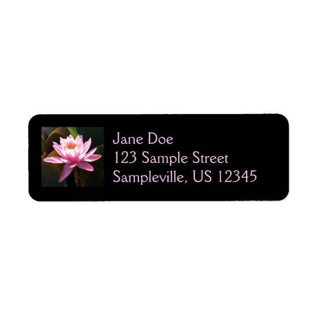 Sunlit Waterlily Pink Floral Water Garden (Front)