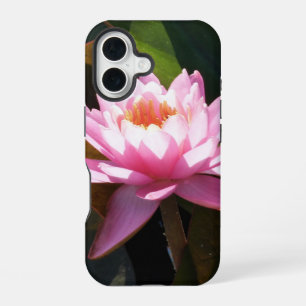 Sunlit Waterlily Pink Floral Water Garden iPhone 16 Case
