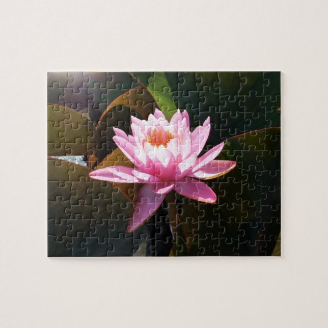 Sunlit Waterlily Pink Floral Water Garden Jigsaw Puzzle (Horizontal)