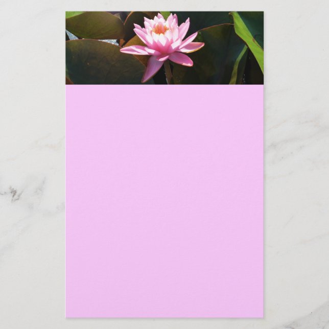 Sunlit Waterlily Pink Floral Water Garden Stationery (Front)