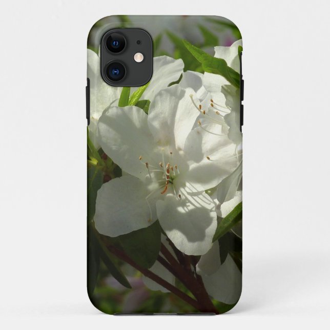 Sunlit White Azaleas Beautiful Spring Flowers Case-Mate iPhone Case (Back)
