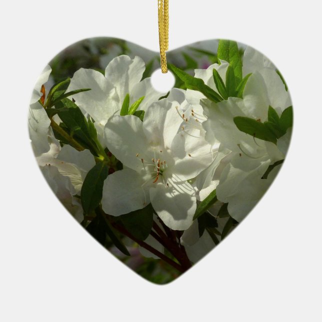 Sunlit White Azaleas Beautiful Spring Flowers Ceramic Tree Decoration (Front)