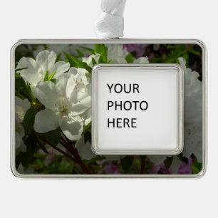 Sunlit White Azaleas Beautiful Spring Flowers Silver Plated Framed Ornament
