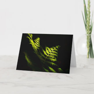 Sunlit woodland ferns (6203) card