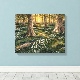 Sunlit Woodland Wildflower Forest Canvas Print