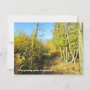 Sunlit Woods in Autumn - Personalised Postcard