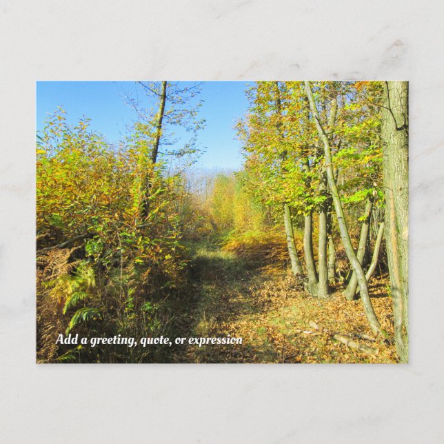Sunlit Woods in Autumn - Personalised Postcard (Front)