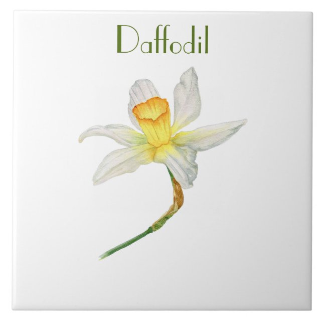 Sunlit yellow Daffodil botanical watercolor Tile (Front)
