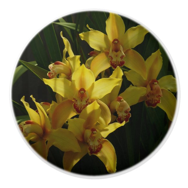 Sunlit Yellow Orchids Floral Ceramic Knob (Front)